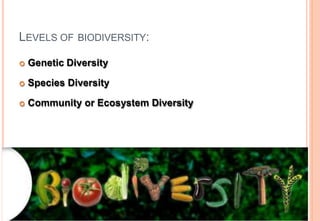 LEVELS OF BIODIVERSITY:
 Genetic Diversity
 Species Diversity
 Community or Ecosystem Diversity
 