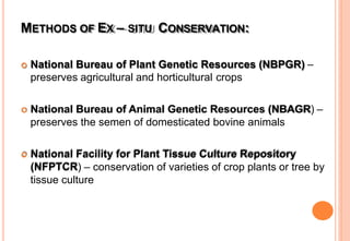 METHODS OF EX – SITU CONSERVATION:
 National Bureau of Plant Genetic Resources (NBPGR) –
preserves agricultural and horticultural crops
 National Bureau of Animal Genetic Resources (NBAGR) –
preserves the semen of domesticated bovine animals
 National Facility for Plant Tissue Culture Repository
(NFPTCR) – conservation of varieties of crop plants or tree by
tissue culture
 
