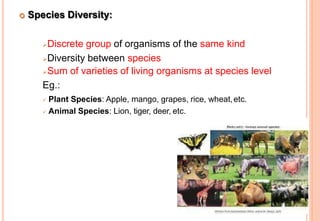  Species Diversity:
Discrete group of organisms of the same kind
Diversity between species
Sum of varieties of living organisms at species level
Eg.:
 Plant Species: Apple, mango, grapes, rice, wheat,etc.
 Animal Species: Lion, tiger, deer, etc.
 