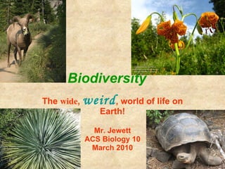 Biodiversity  The  wide ,  weird , world of life on Earth! Mr. Jewett ACS Biology 10 March 2010 