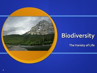 BiodiversityBiodiversity
TheVariety of LifeTheVariety of Life
1
 
