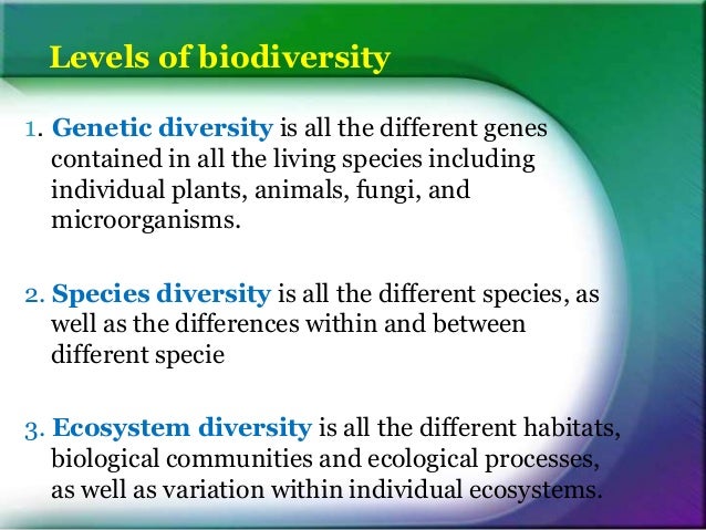 Biodiversity Loss