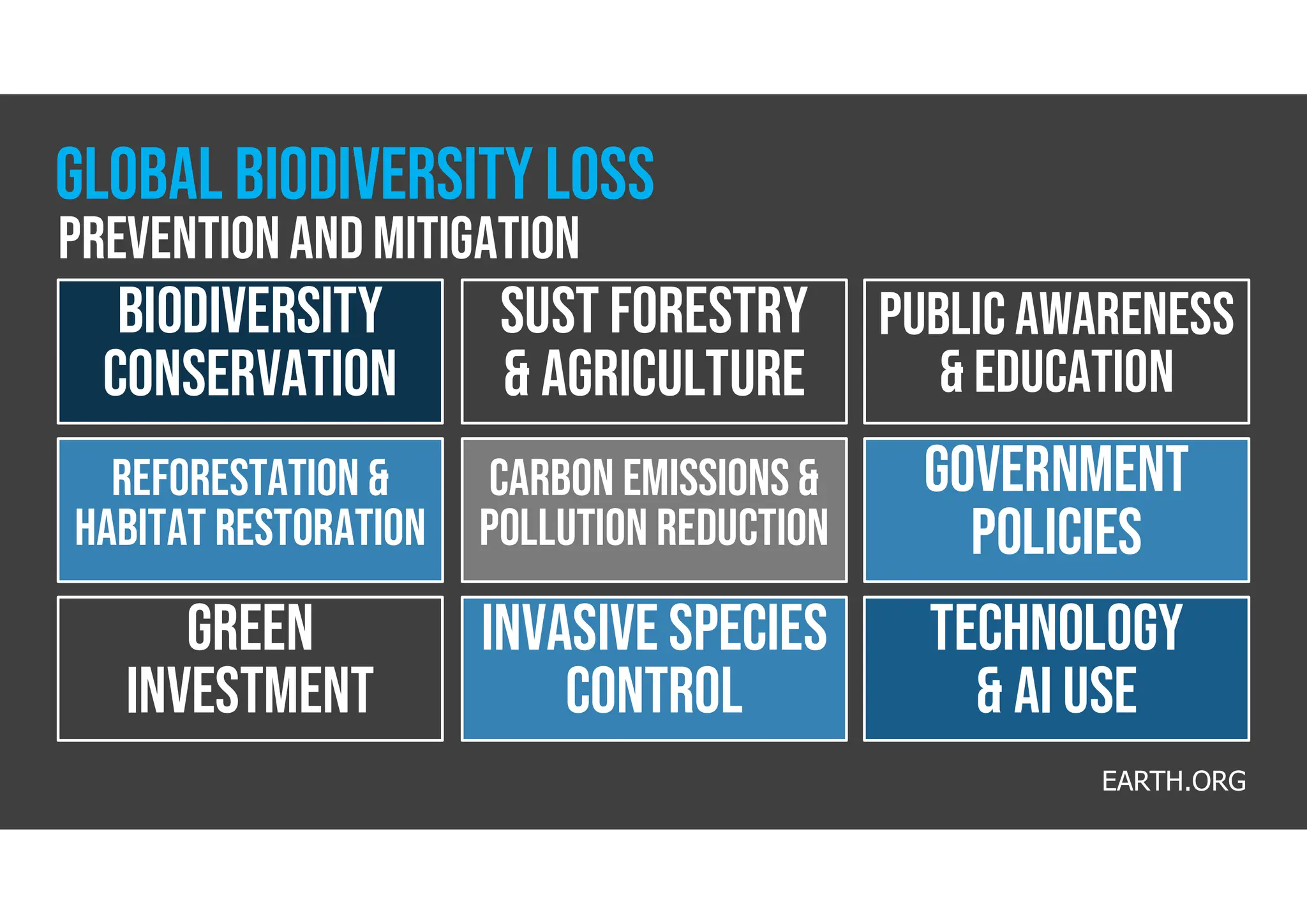 Biodiversity
Conservation
SUST FORESTRY
& agriculture
public awareness
& Education
Reforestation &
HABITAT RESTORATION
Carbon emissions &
pollution reduction
GOVERNMENT
POLICIES
GREEN
investment
Invasive species
control
TECHNOLOGY
& ai USE
EARTH.ORG
GLOBAL BIODIVERSITY loss
Prevention and mitigation
 