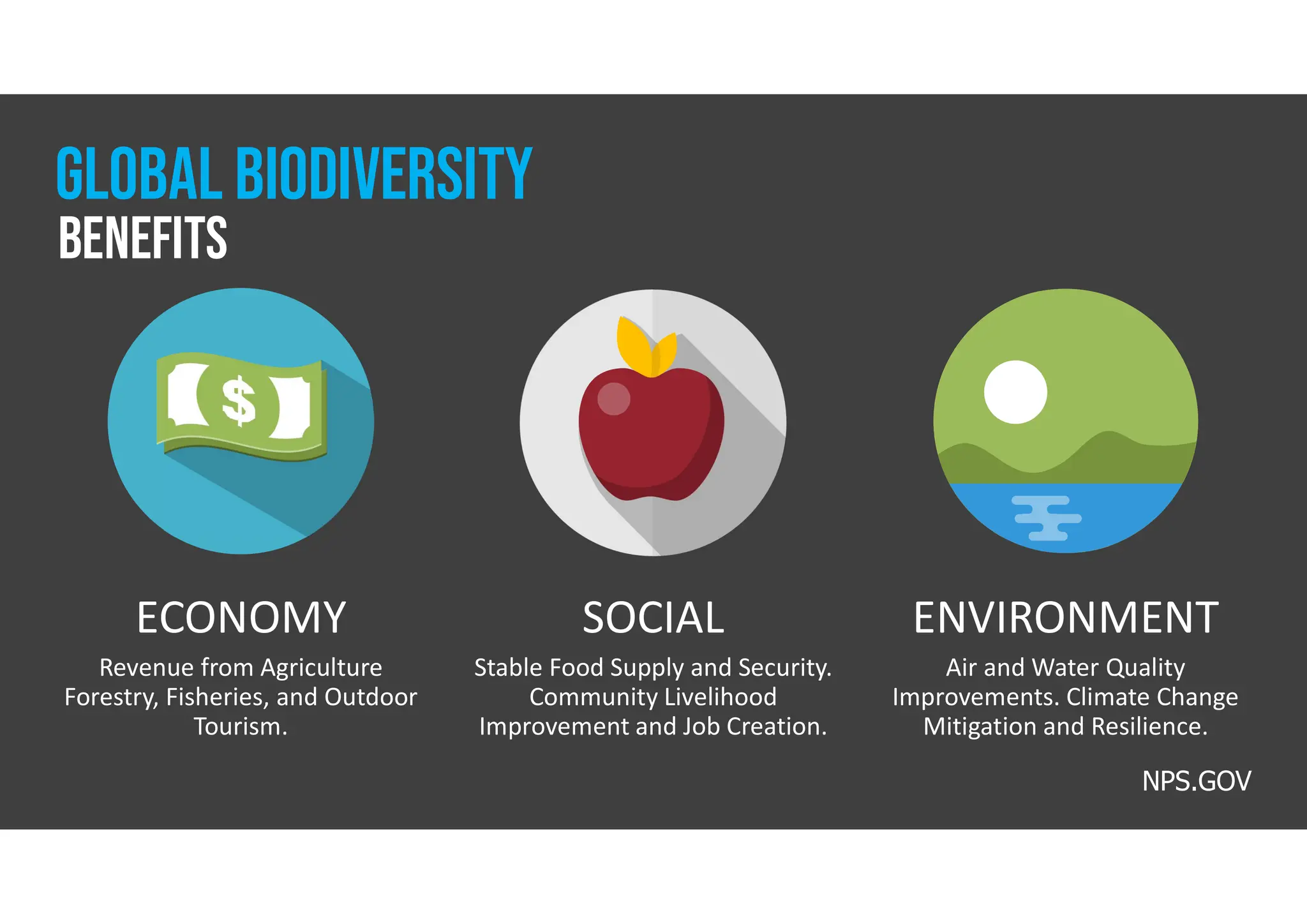 GLOBAL BIODIVERSITY
ECONOMY
Revenue from Agriculture
Forestry, Fisheries, and Outdoor
Tourism.
SOCIAL
Stable Food Supply and Security.
Community Livelihood
Improvement and Job Creation.
ENVIRONMENT
Air and Water Quality
Improvements. Climate Change
Mitigation and Resilience.
NPS.GOV
benefits
 