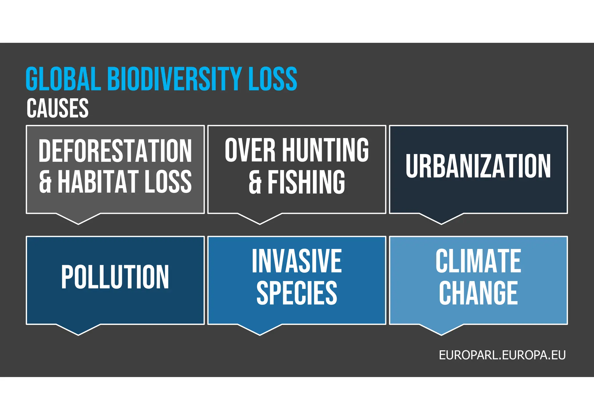 Deforestation
& Habitat loss
Invasive
species
Over Hunting
& Fishing
POLLUTION
urbanization
CLIMATE
CHANGE
EUROPARL.EUROPA.EU
GLOBAL BIODIVERSITY loss
causes
 