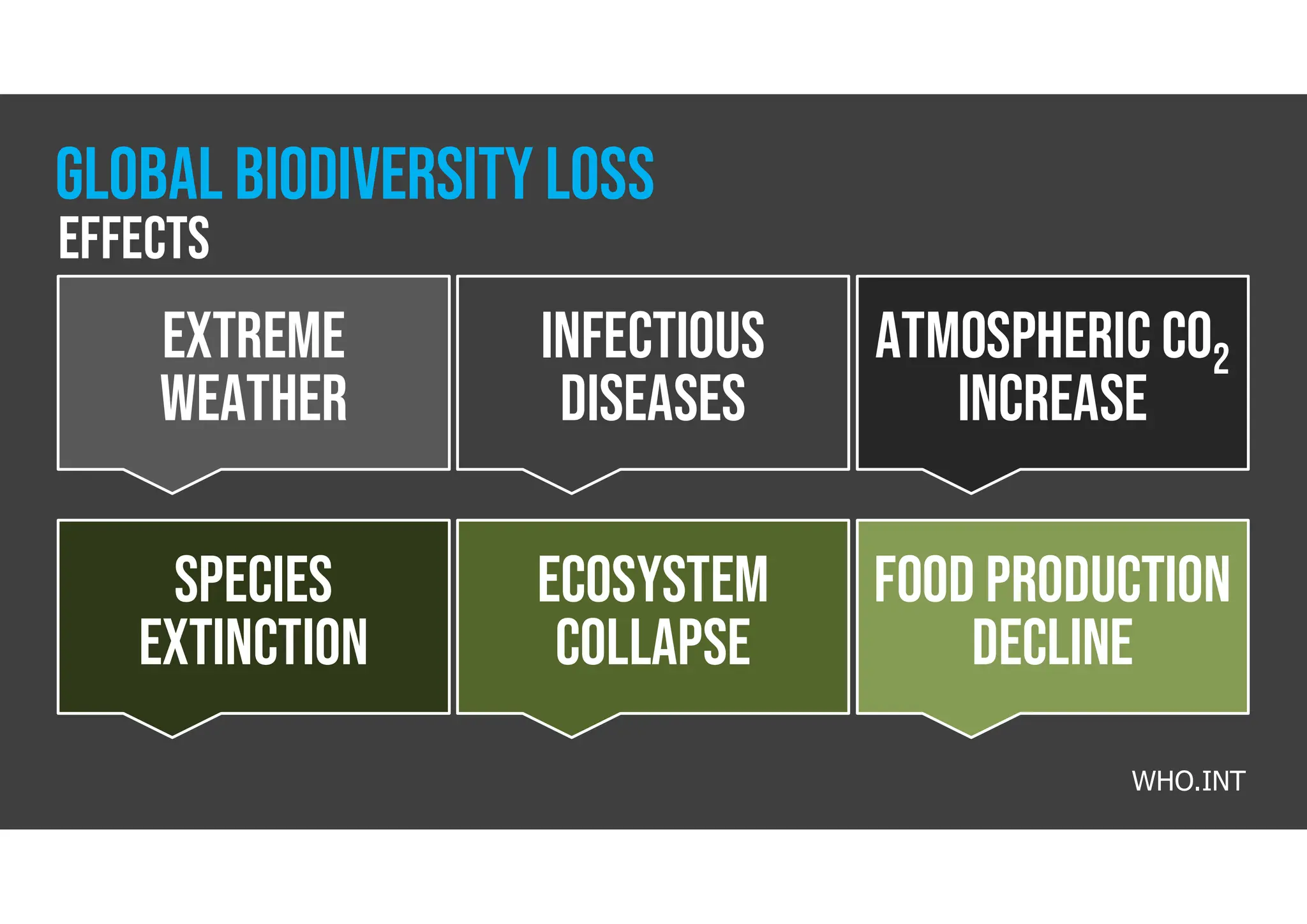 EXTREME
WEATHER
Ecosystem
collapse
infectious
diseases
Species
Extinction
ATMOSPHERIC CO2
INCREASE
Food PRODUCTION
DECLINE
WHO.INT
GLOBAL BIODIVERSITY loss
effects
 