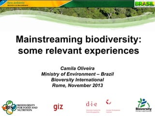 Mainstreaming biodiversity:
some relevant experiences
Camila Oliveira
Ministry of Environment – Brazil
Bioversity International
Rome, November 2013
 