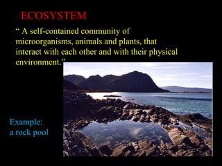 ECOSYSTEM
“ A self-contained community of
microorganisms, animals and plants, that
interact with each other and with their physical
environment.”

Example:
a rock pool

 