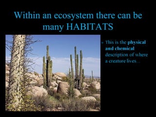 Within an ecosystem there can be
many HABITATS

 