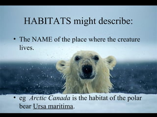 HABITATS might describe:
• The NAME of the place where the creature
lives.

• eg Arctic Canada is the habitat of the polar
bear Ursa maritima.

 