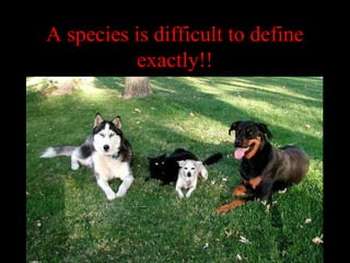A species is difficult to define
exactly!!

 