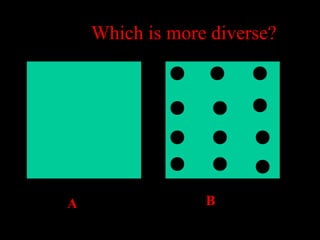 Which is more diverse?

A

B

 