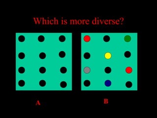 Which is more diverse?

A

B

 