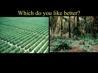 Which do you like better?

A

B

 