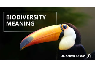Biodiversity Meaning | PDF