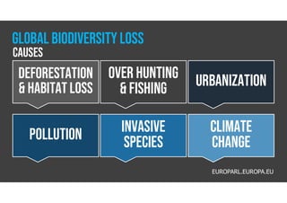 Biodiversity Meaning | PDF