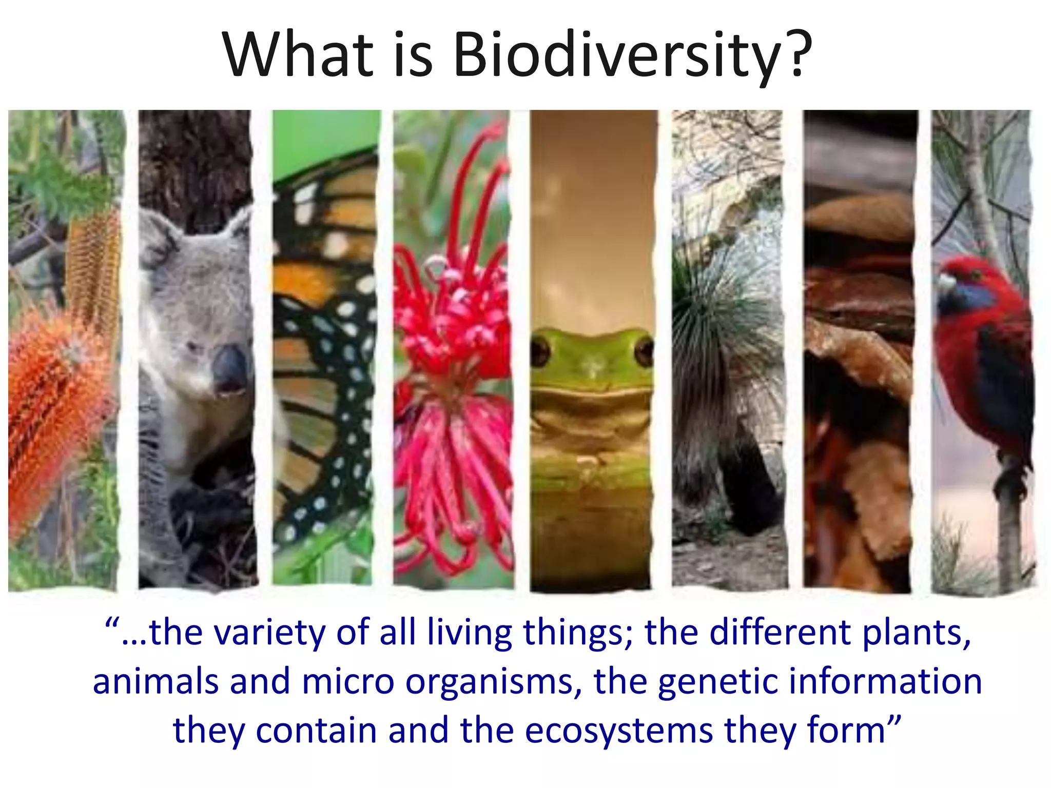 What is Biodiversity?
“…the variety of all living things; the different plants,
animals and micro organisms, the genetic information
they contain and the ecosystems they form”
 