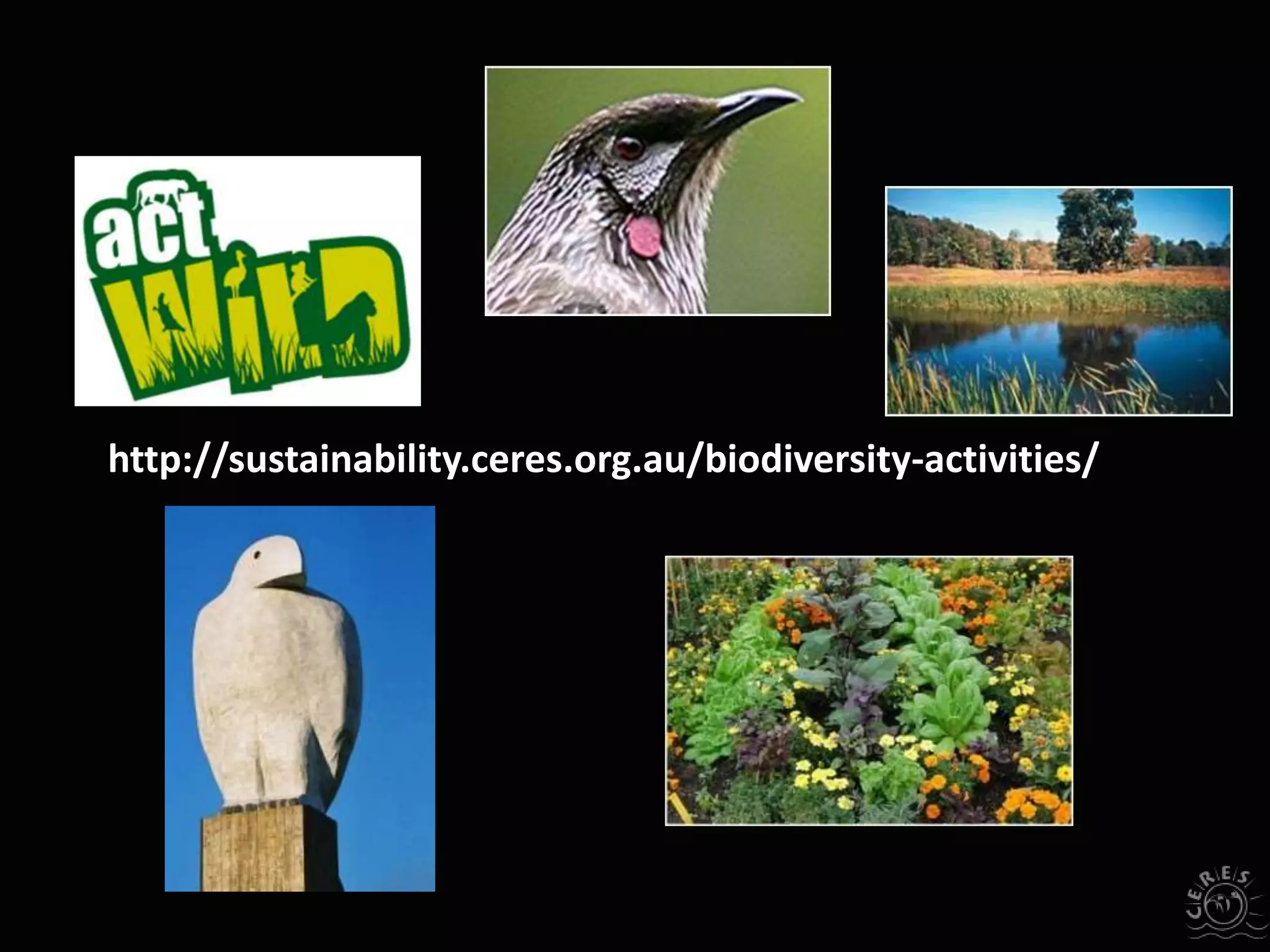 http://sustainability.ceres.org.au/biodiversity-activities/
 
