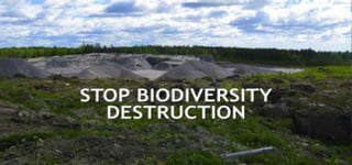 Biodiversity now
