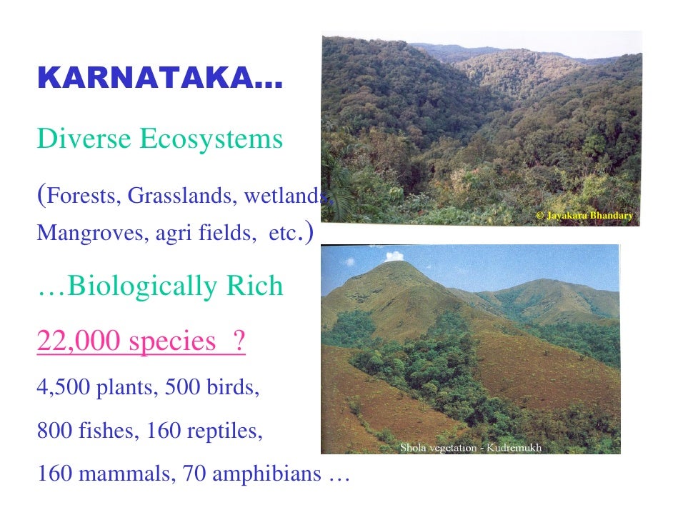 Biodiversity Of Coastal Karnataka