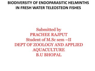 BIODIVERSITY OF ENDOPARASITIC HELMINTHS
IN FRESH WATER TELEOSTEON FISHES
Submitted by
PRACHEE RAJPUT
Student of M.Sc sem –II
DEPT OF ZOOLOGY AND APPLIED
AQUACULTURE
B.U BHOPAL
 