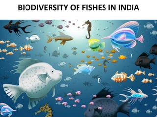 BIODIVERSITY OF FISHES IN INDIA
 