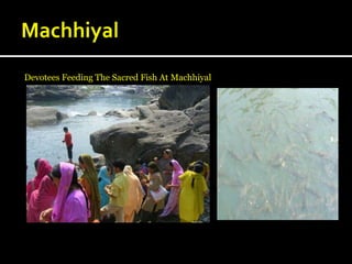 Mathiran Fish Biodiversity of India | PPTX