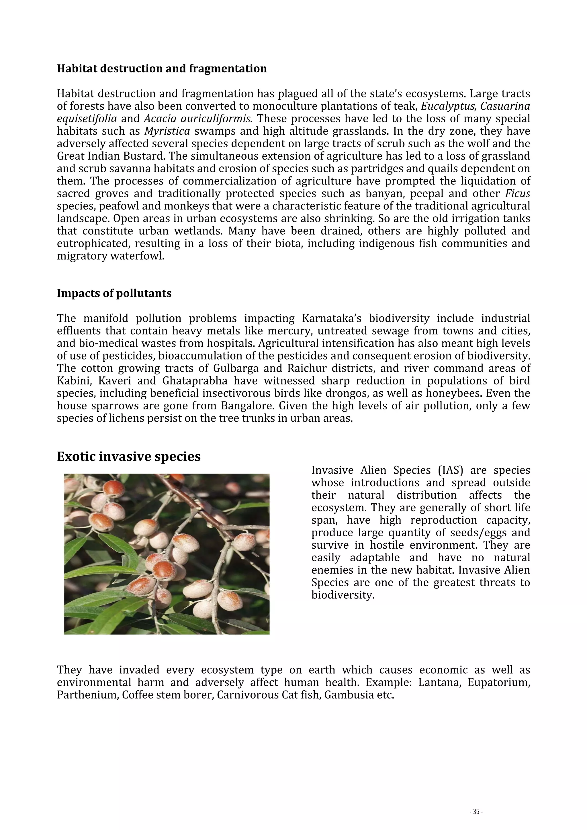 Luxury, the Luxury Trades, and the Roots of Industrial Growth: A Global ... - Exotic Luxury Industrial Level