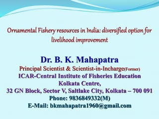 Dr. B. K. Mahapatra
Principal Scientist & Scientist-in-Incharge(Former)
ICAR-Central Institute of Fisheries Education
Kolkata Centre,
32 GN Block, Sector V, Saltlake City, Kolkata – 700 091
Phone: 9836849332(M)
E-Mail: bkmahapatra1960@gmail.com
 