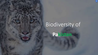 Biodiversity of
Pakistan
 