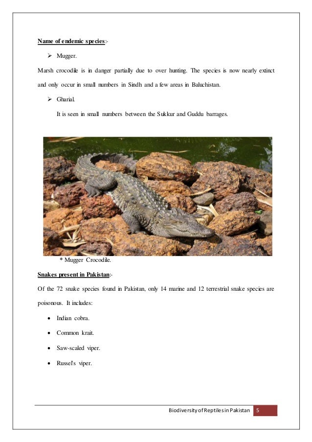 Biodiversity of reptiles in Pakistan