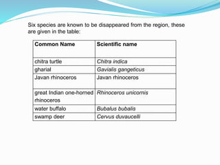 Biodiversity of sunderban | PPT