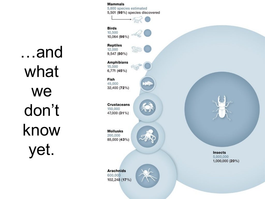 Biodiversity on Earth