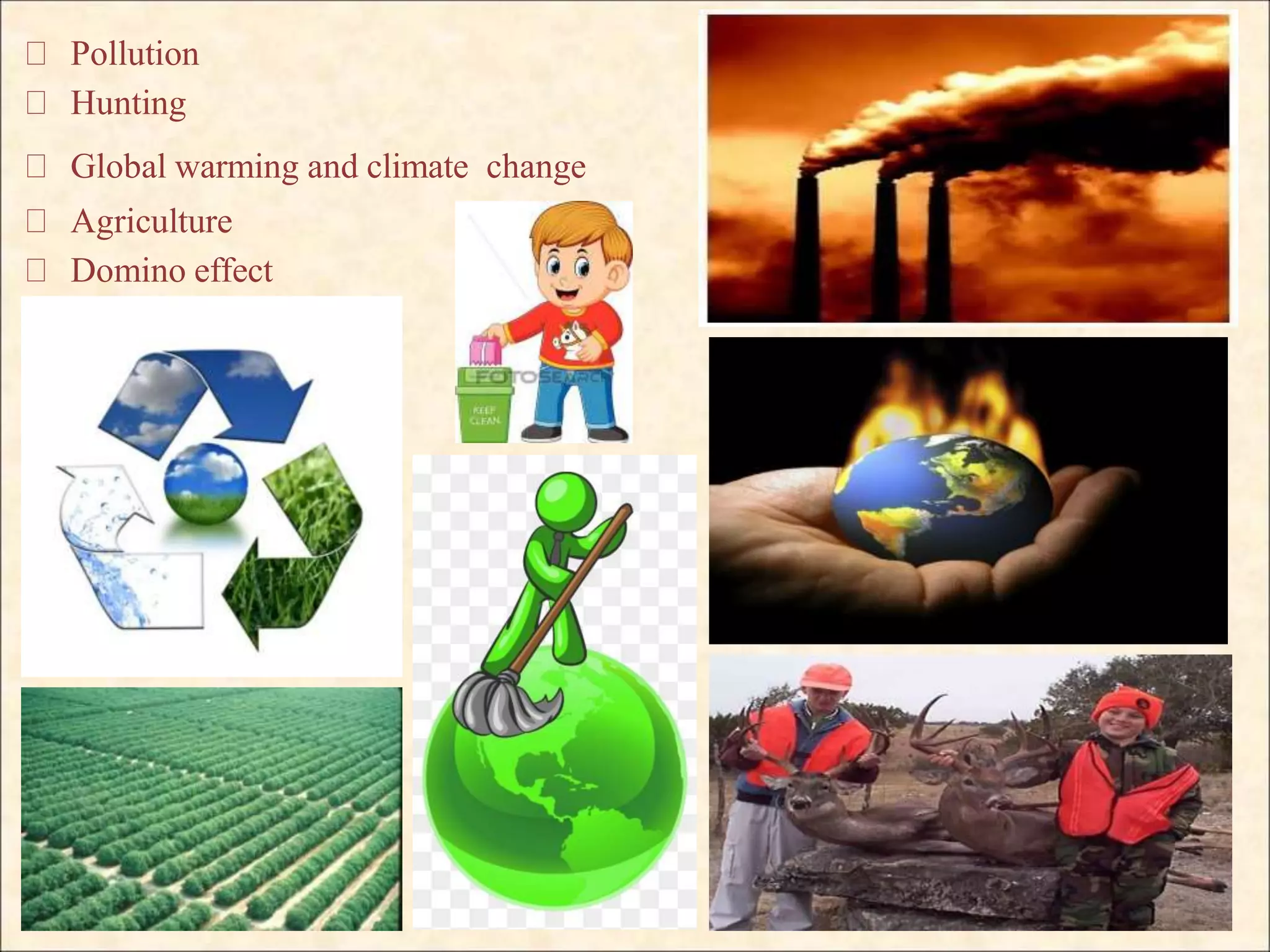Pollution
Hunting
Global warming and climate change
Agriculture
Domino effect
 