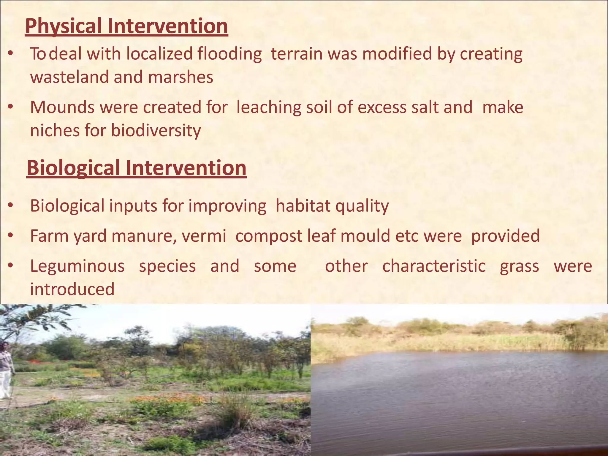 Physical Intervention
• Todeal with localized flooding terrain was modified by creating
wasteland and marshes
• Mounds were created for leaching soil of excess salt and make
niches for biodiversity
Biological Intervention
• Biological inputs for improving habitat quality
• Farm yard manure, vermi compost leaf mould etc were provided
• Leguminous species and some other characteristic grass were
introduced
 