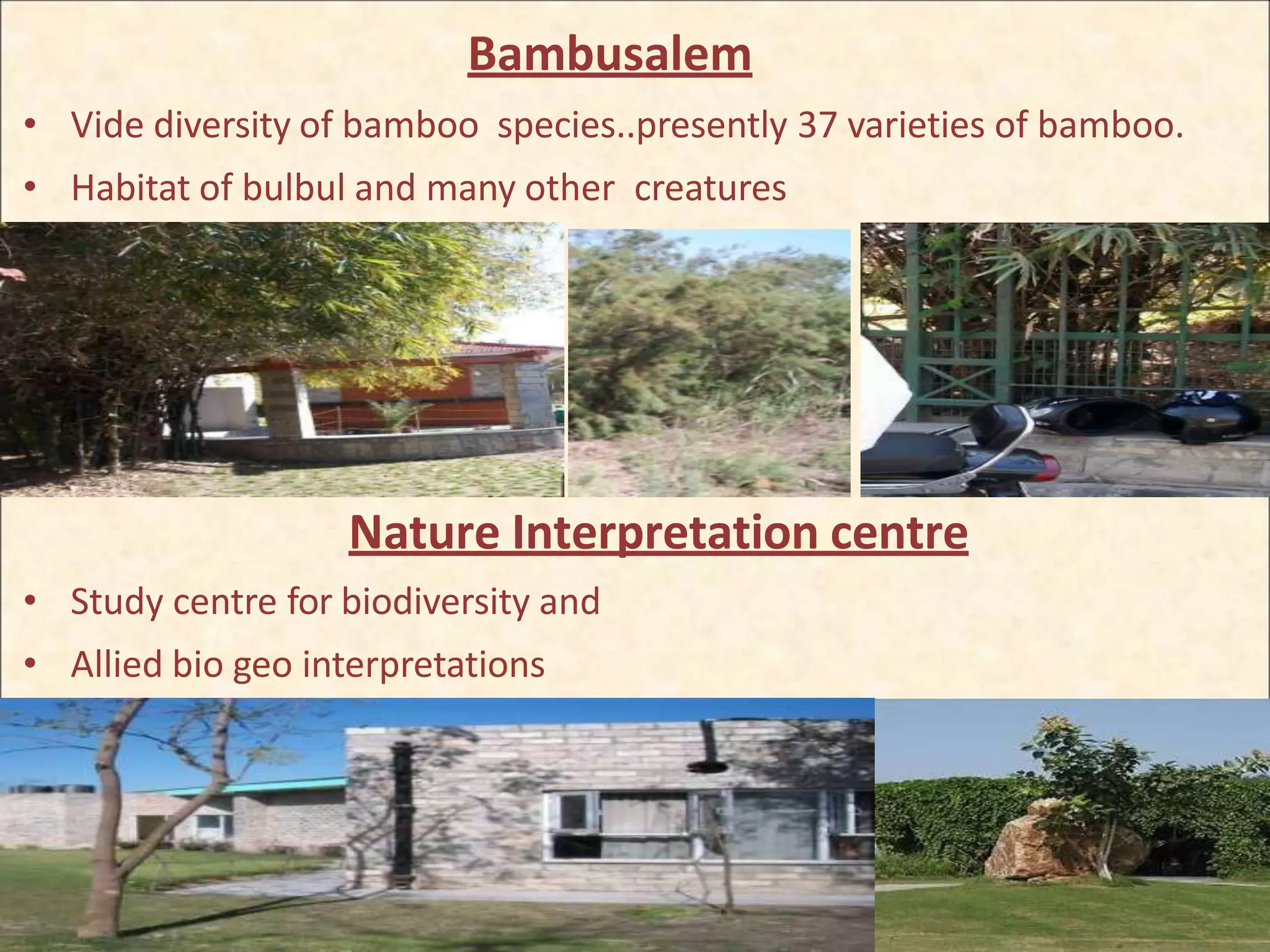 Bambusalem
• Vide diversity of bamboo species..presently 37 varieties of bamboo.
• Habitat of bulbul and many other creatures
Nature Interpretation centre
• Study centre for biodiversity and
• Allied bio geo interpretations
 