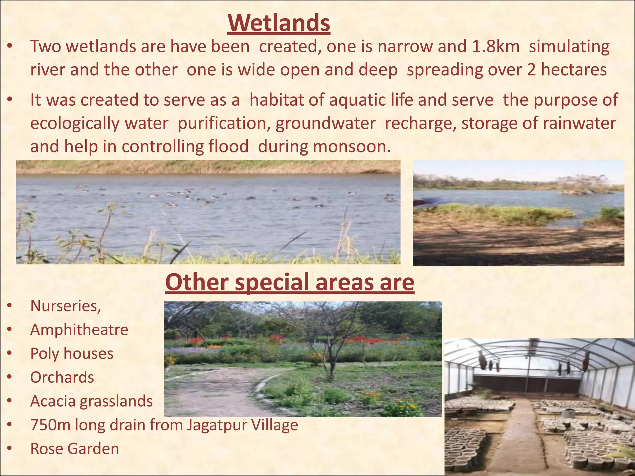 Wetlands
• Two wetlands are have been created, one is narrow and 1.8km simulating
river and the other one is wide open and deep spreading over 2 hectares
• It was created to serve as a habitat of aquatic life and serve the purpose of
ecologically water purification, groundwater recharge, storage of rainwater
and help in controlling flood during monsoon.
Other special areas are
• Nurseries,
• Amphitheatre
• Poly houses
• Orchards
• Acacia grasslands
• 750m long drain from Jagatpur Village
• Rose Garden
 