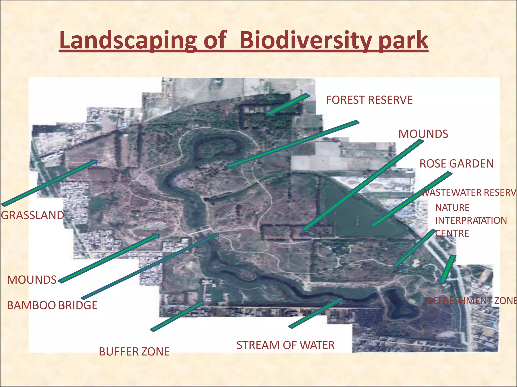Landscaping of Biodiversity park
NATURE
INTERPRATATION
CENTRE
REFRESHMENT ZONE
FOREST RESERVE
MOUNDS
ROSE GARDEN
WASTEWATER RESERV
BUFFER ZONE
GRASSLAND
MOUNDS
BAMBOO BRIDGE
STREAM OF WATER
 