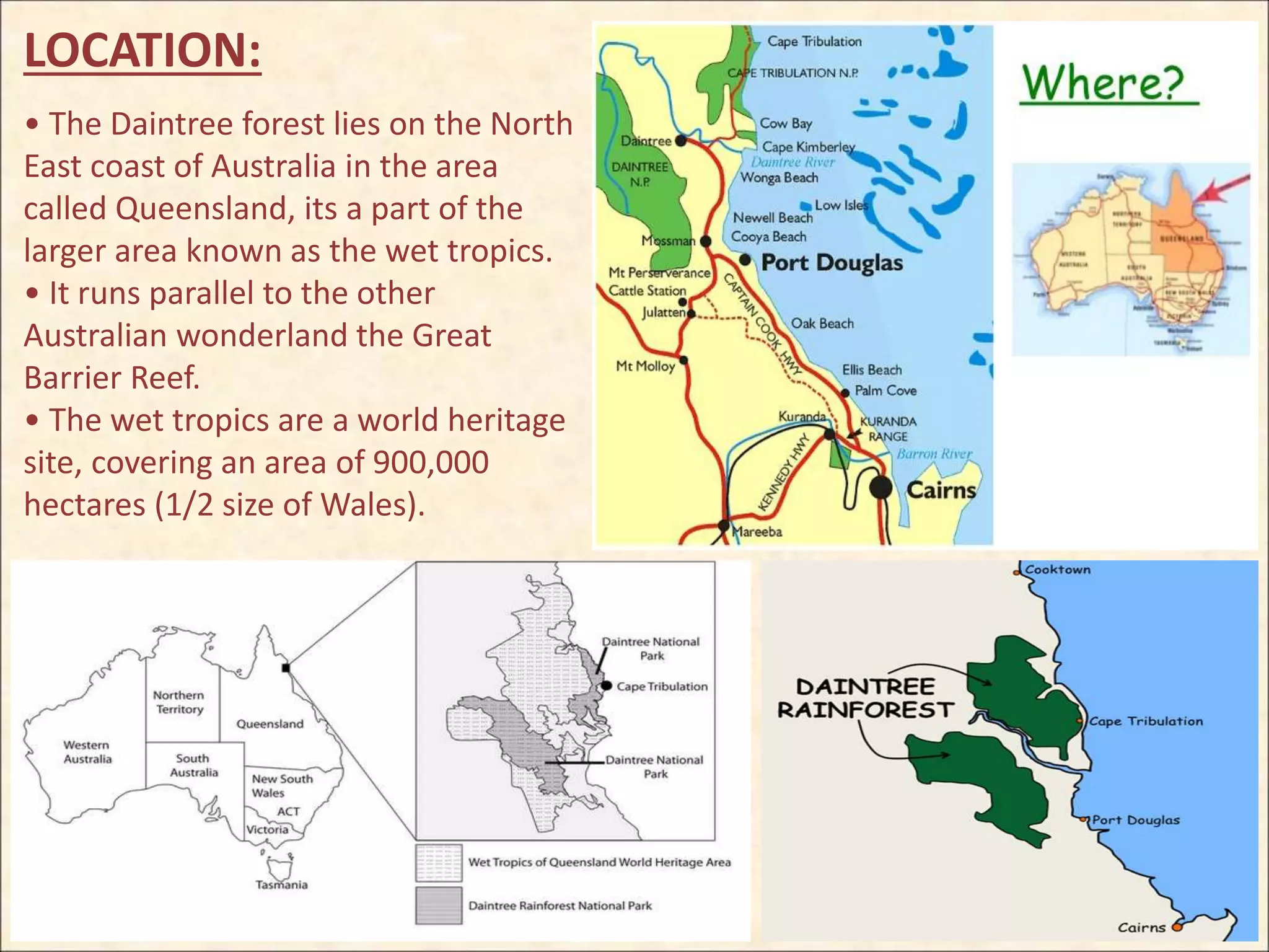 LOCATION:
• The Daintree forest lies on the North
East coast of Australia in the area
called Queensland, its a part of the
larger area known as the wet tropics.
• It runs parallel to the other
Australian wonderland the Great
Barrier Reef.
• The wet tropics are a world heritage
site, covering an area of 900,000
hectares (1/2 size of Wales).
 