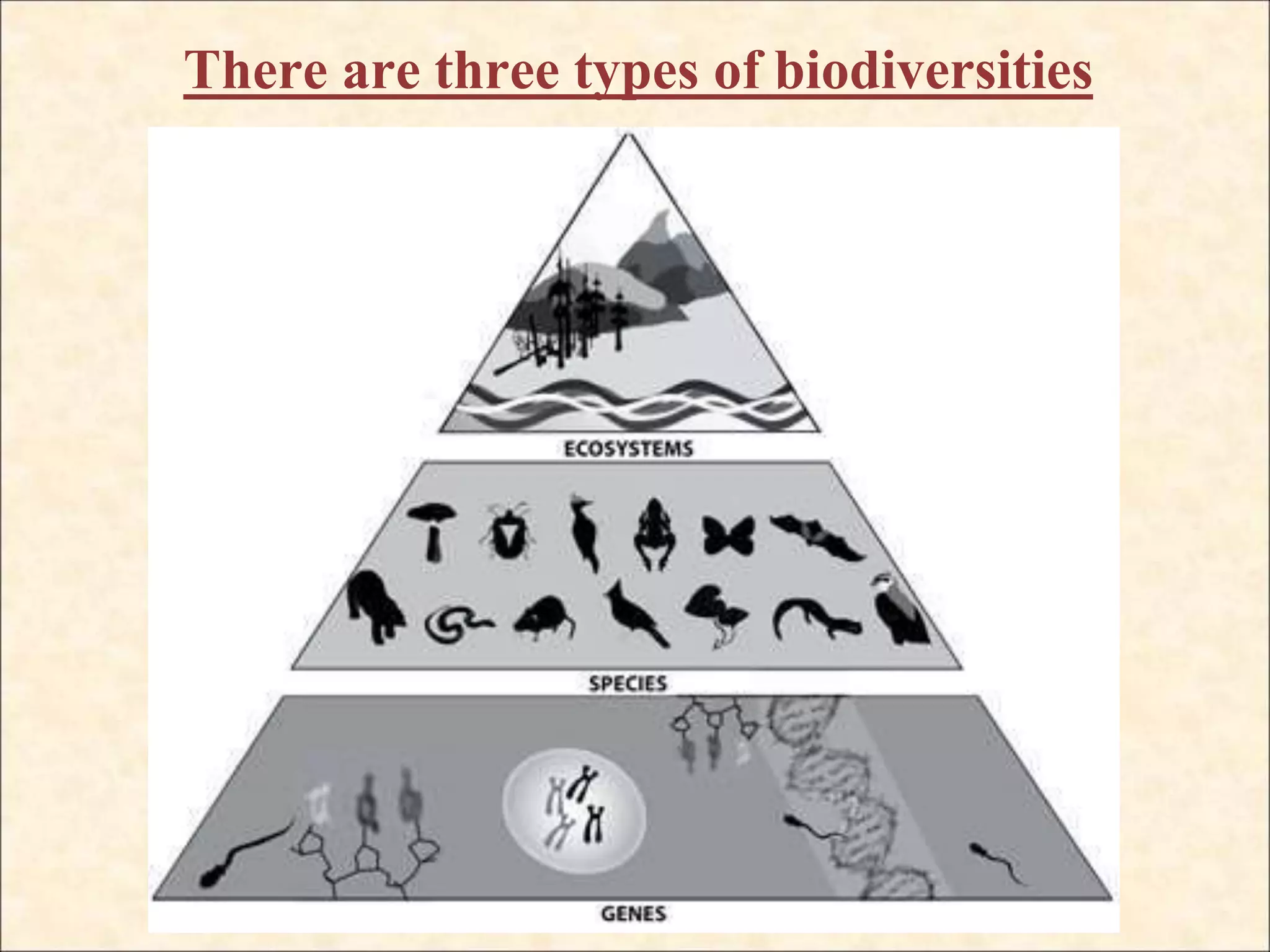 There are three types of biodiversities
 
