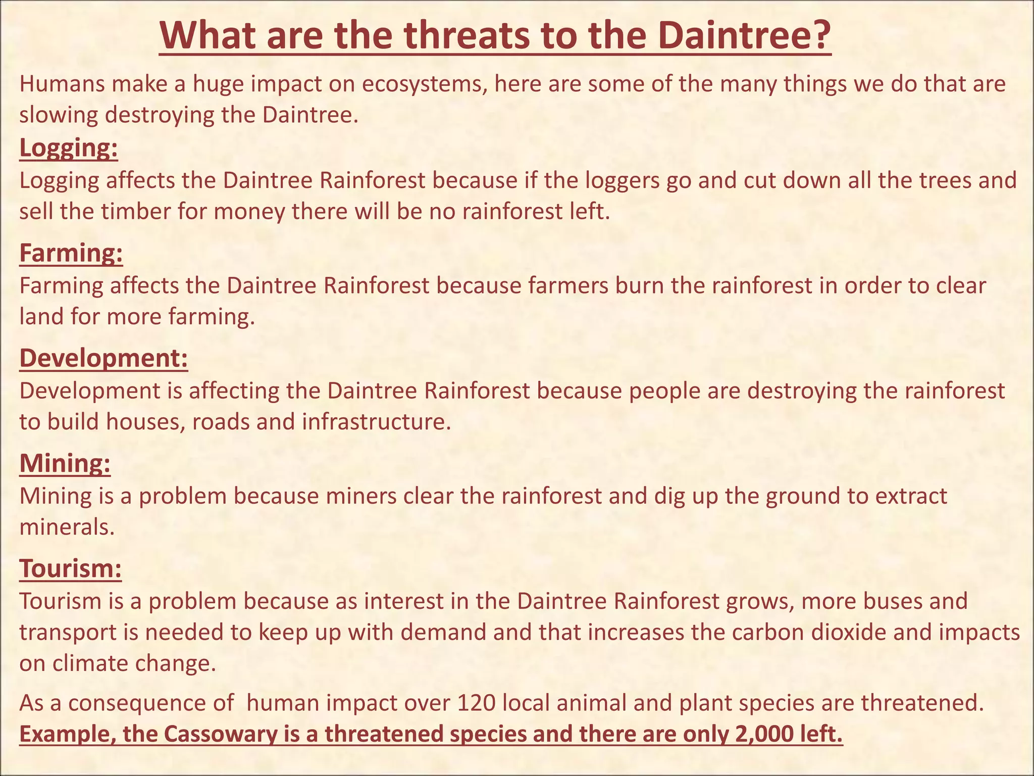 What are the threats to the Daintree?
Humans make a huge impact on ecosystems, here are some of the many things we do that are
slowing destroying the Daintree.
Logging:
Logging affects the Daintree Rainforest because if the loggers go and cut down all the trees and
sell the timber for money there will be no rainforest left.
Farming:
Farming affects the Daintree Rainforest because farmers burn the rainforest in order to clear
land for more farming.
Development:
Development is affecting the Daintree Rainforest because people are destroying the rainforest
to build houses, roads and infrastructure.
Mining:
Mining is a problem because miners clear the rainforest and dig up the ground to extract
minerals.
Tourism:
Tourism is a problem because as interest in the Daintree Rainforest grows, more buses and
transport is needed to keep up with demand and that increases the carbon dioxide and impacts
on climate change.
As a consequence of human impact over 120 local animal and plant species are threatened.
Example, the Cassowary is a threatened species and there are only 2,000 left.
 