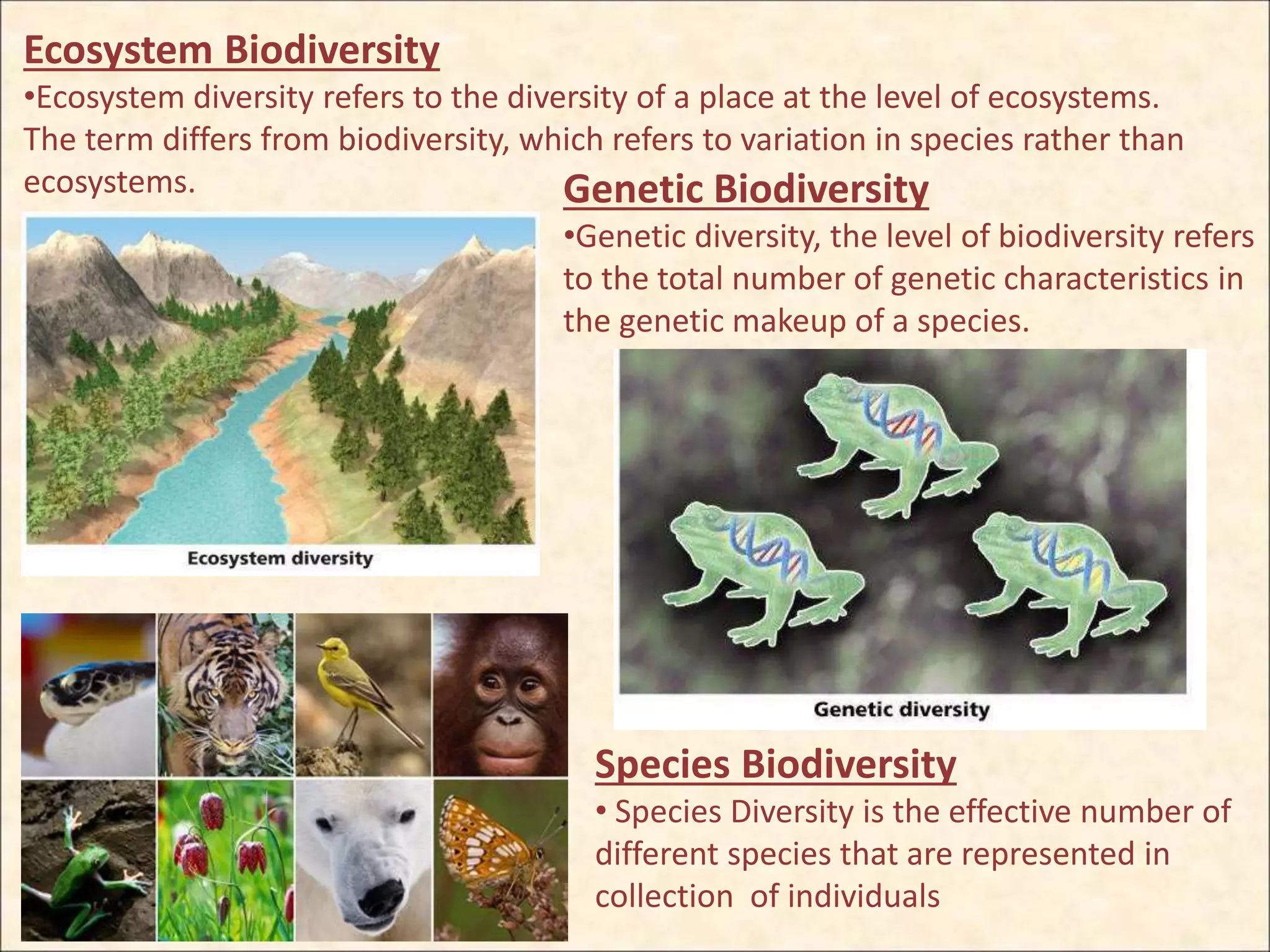 Species Biodiversity
• Species Diversity is the effective number of
different species that are represented in
collection of individuals
Genetic Biodiversity
•Genetic diversity, the level of biodiversity refers
to the total number of genetic characteristics in
the genetic makeup of a species.
Ecosystem Biodiversity
•Ecosystem diversity refers to the diversity of a place at the level of ecosystems.
The term differs from biodiversity, which refers to variation in species rather than
ecosystems.
 