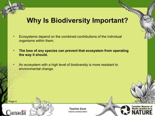 Biodiversity | PPT