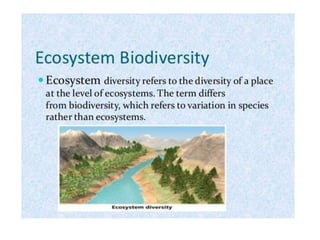 Biodiversity PPT.pptx