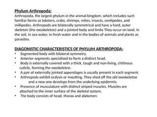 Comprehensive Overview of Phylum Arthropoda and Brachiopoda in Marine ...