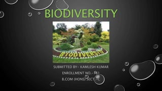 BIODIVERSITY
SUBMITTED BY- KAMLESH KUMAR
ENROLLMENT NO.-181
B.COM (HONS) SECT.-C
 