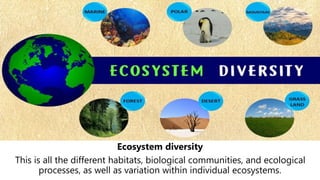 Ecosystem Variability BIODIVERSITY PRESENTATION.pptx