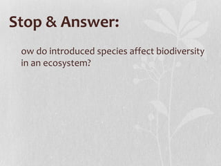 Stop & Answer:
 ow do introduced species affect biodiversity
 in an ecosystem?
 