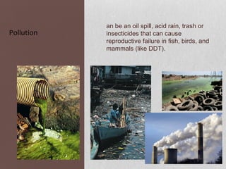 an be an oil spill, acid rain, trash or
Pollution   insecticides that can cause
            reproductive failure in fish, birds, and
            mammals (like DDT).
 