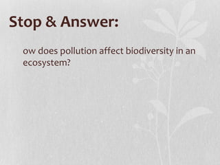 Stop & Answer:
 ow does pollution affect biodiversity in an
 ecosystem?
 